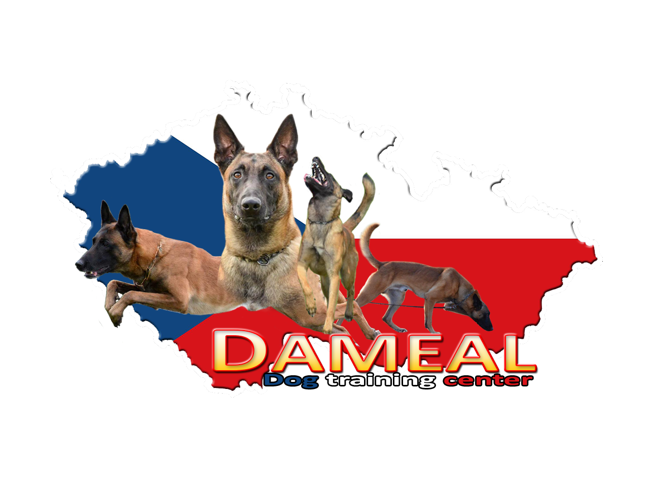 PSÍ ŠKOLA DAMEAL - spolupráce